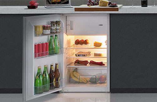 Freestanding Fridges