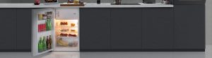 Freestanding Fridge